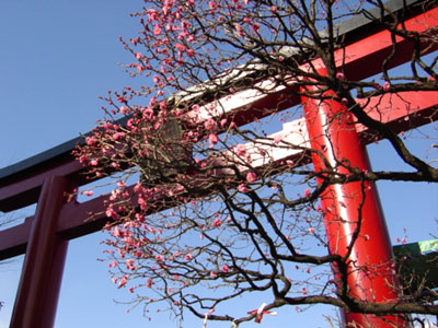 亀戸天神社