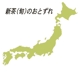 新茶前線