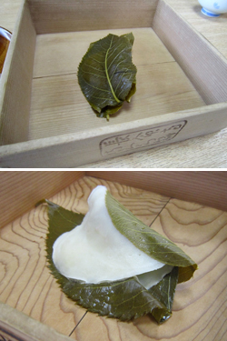 料理写真
